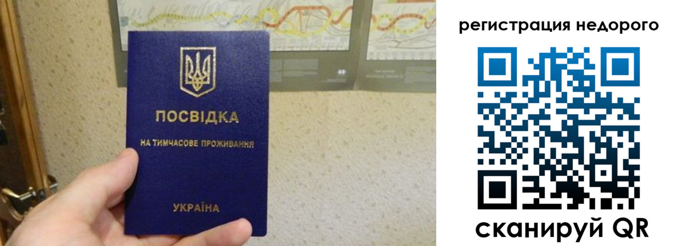 прописка для работы в Благовещенске